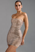 DressNovel Bandeau Mini Dress in Almond